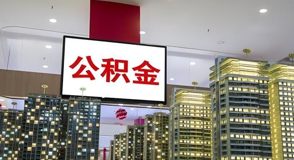 查自己的公积金怎么查-上海公积金代办平台